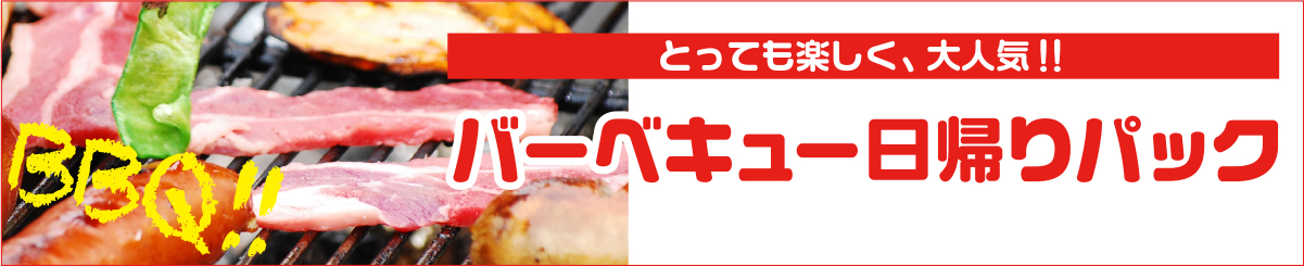 とっても楽しく、大人気！！ バーベキュー日帰りパック